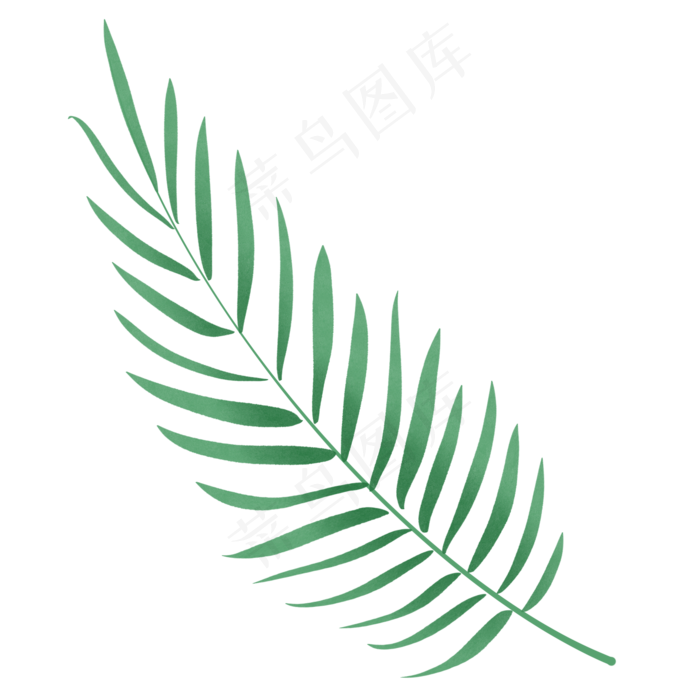 水彩棕榈叶叶子图