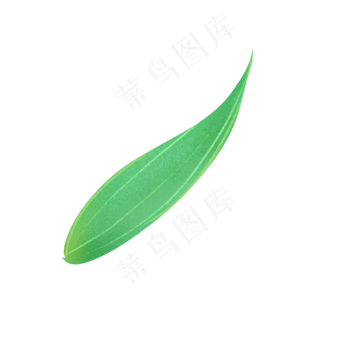 植物绿叶(2000X2000(DPI:300))psd模版下载