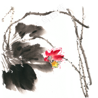 荷花水墨画PNG免抠素材