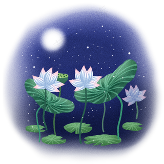 夜晚星空月光下的荷花荷叶