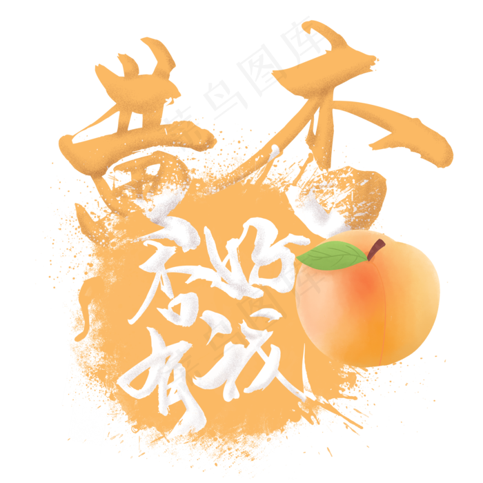 水果语录之黄杏