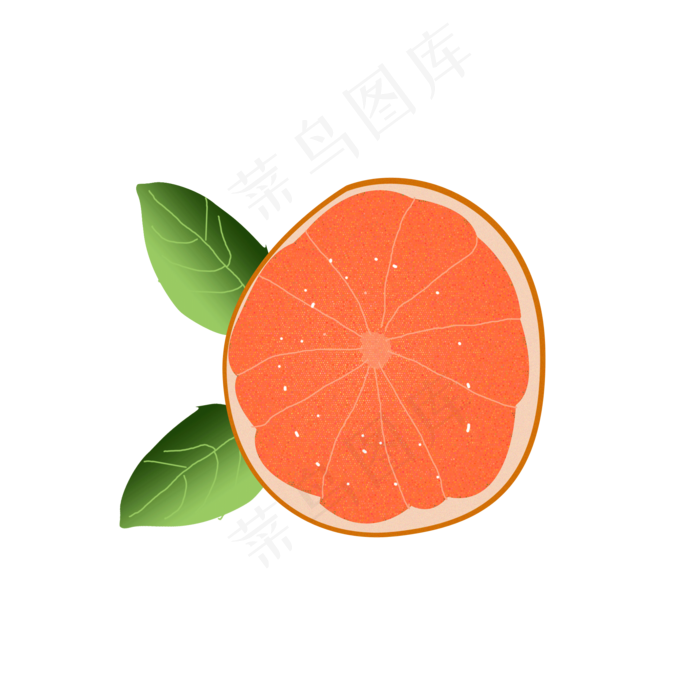 红心冰糖柚子逼真手绘png下载