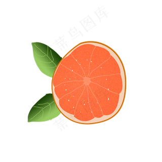 红心冰糖柚子逼真手绘png下载
