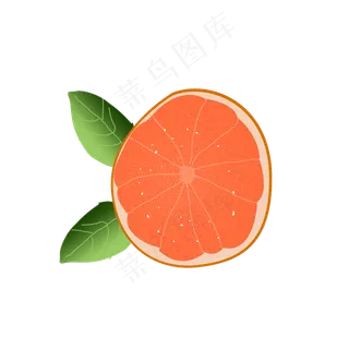 红心冰糖柚子逼真手绘png下载