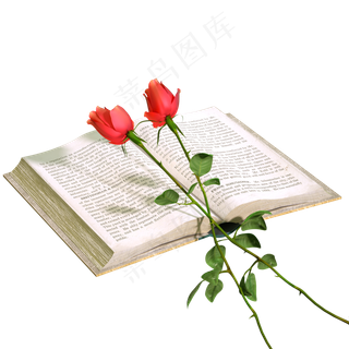 书翻开的书英文书籍玫瑰