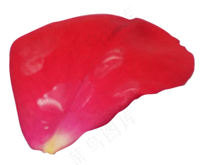 红色玫瑰花瓣