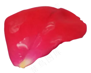 红色玫瑰花瓣