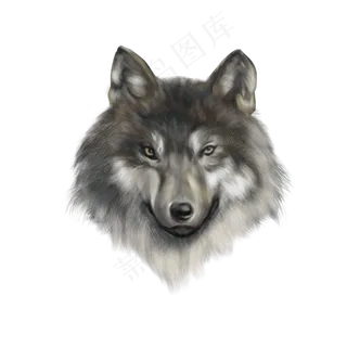 小动物狼头,免抠元素