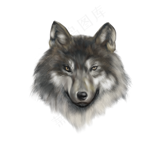 小动物狼头,免抠元素