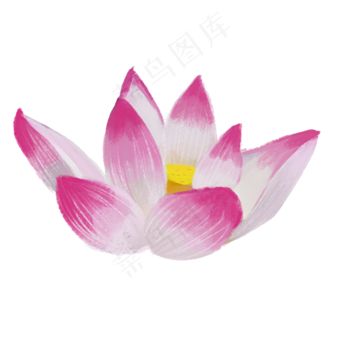 彩色荷花植物元素(2000X2000(DPI:300))psd模版下载