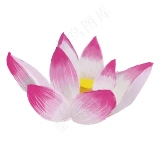 彩色荷花植物元素