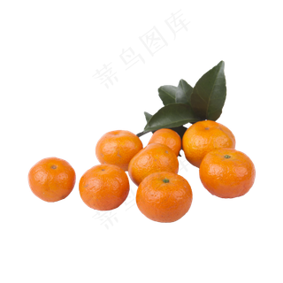 一堆橘子（png免抠）