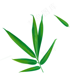 绿色手绘清新竹叶