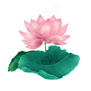 中国风格夏季荷花