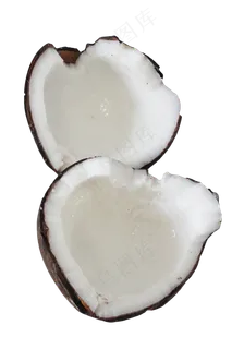 黑棕色美味椰子 黑棕色美味椰子