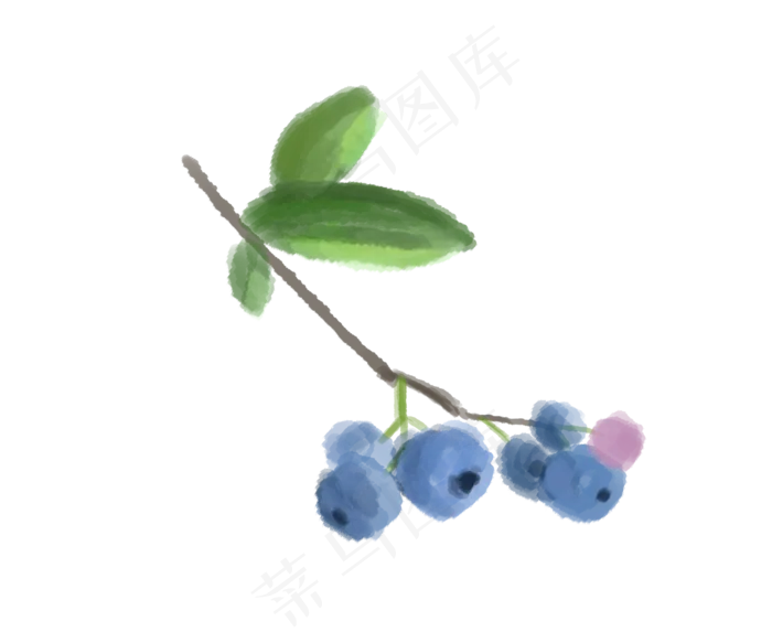 暑假手绘水果蓝莓