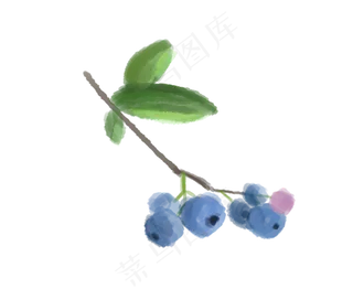 暑假手绘水果蓝莓