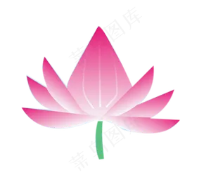 一朵荷花