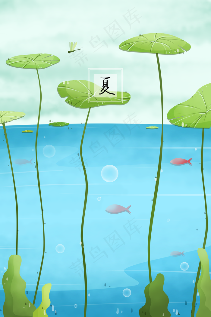 夏季有荷叶的池塘里鱼在游泳蜻蜓在飞