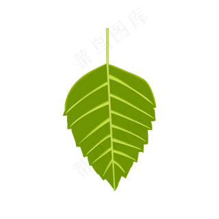 树叶叶片叶子