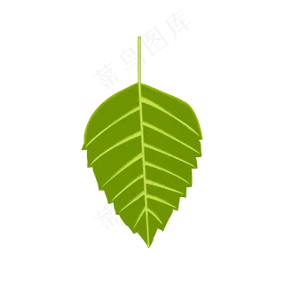 树叶叶片叶子