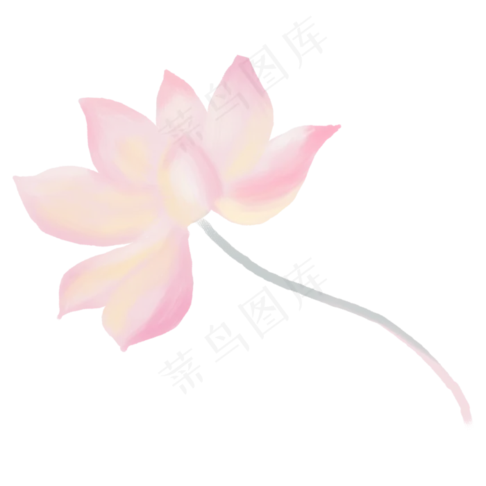 粉色唯美梦幻荷花(2000X2000(DPI:300))psd模版下载