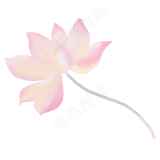 粉色唯美梦幻荷花