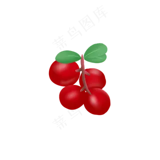 红色蔓越莓树枝手绘