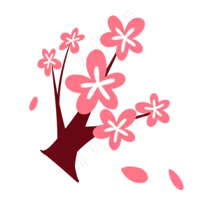 樱花树上樱花节樱花盛开