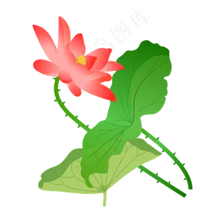 手绘卡通粉色荷花