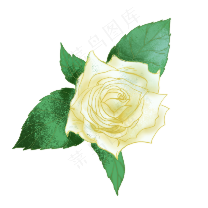 鲜花白玫瑰素材背景