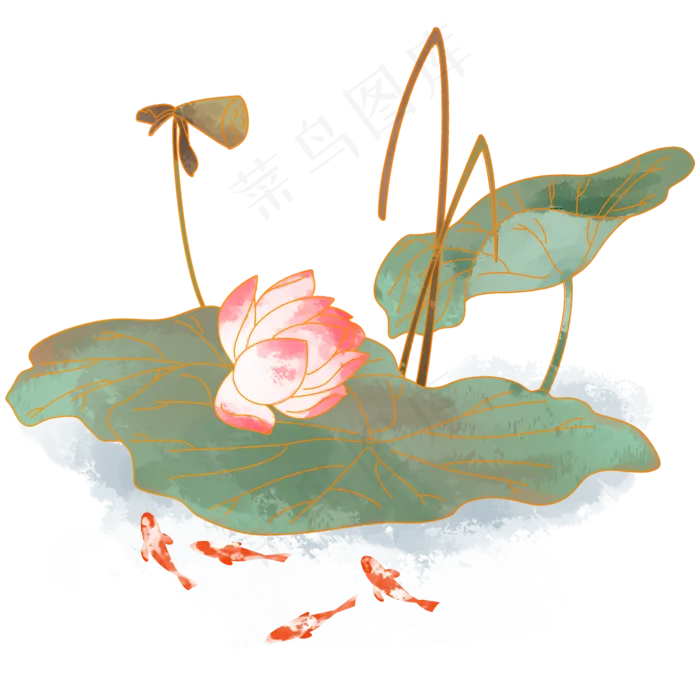 植物荷花红鲤鱼(2000X2000(DPI:300))psd模版下载