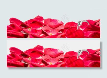 玫瑰花花瓣