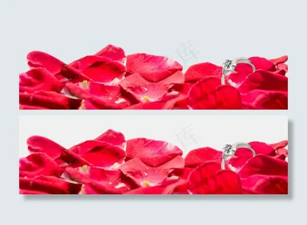 玫瑰花花瓣
