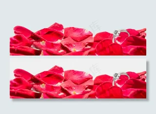 玫瑰花花瓣