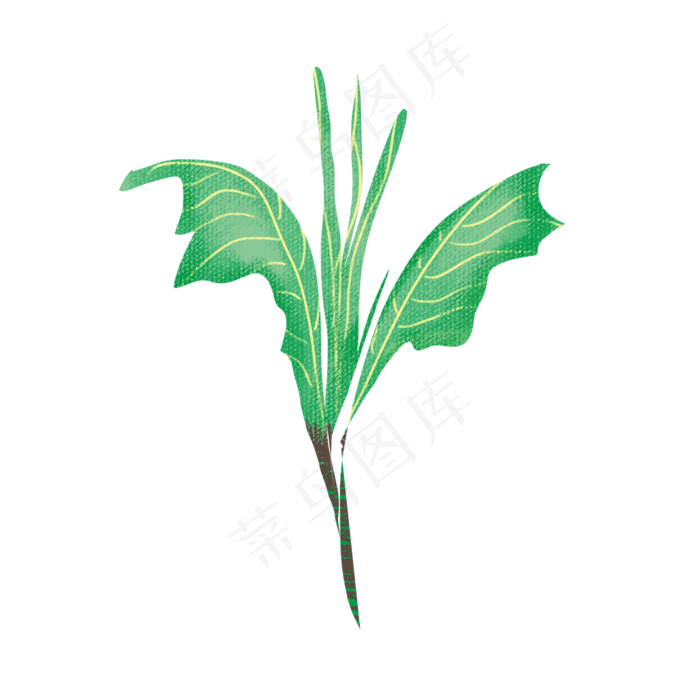 端午节装饰艾草(2000X2000(DPI:300))psd模版下载