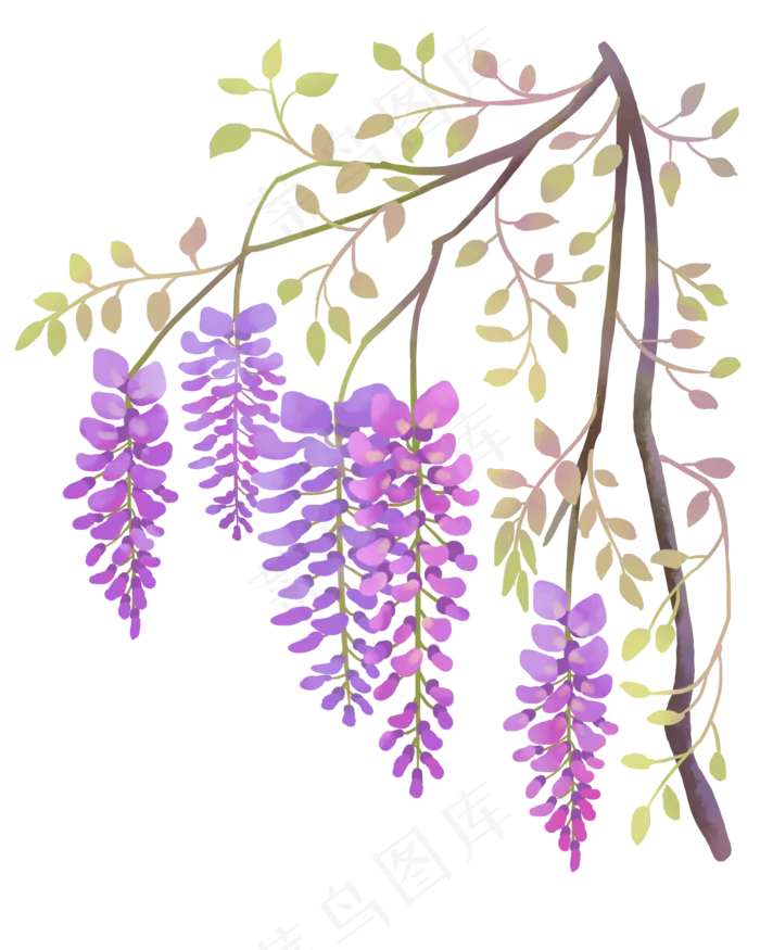 古风花紫藤花(2000X2500(DPI:300))psd模版下载