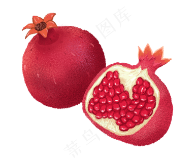 石榴PNG免抠图