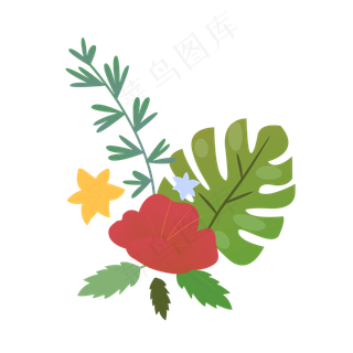 夏季夏天夏至红花免扣素材