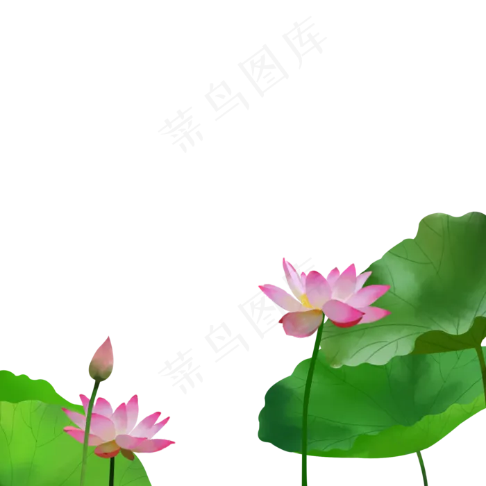 手绘的荷花免抠元素下载(2000X2000(DPI:300))psd模版下载