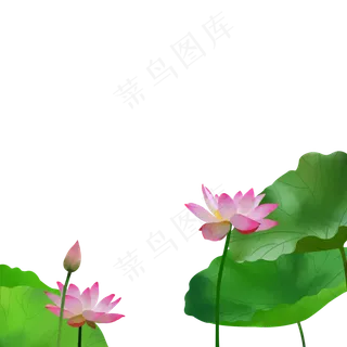 手绘的荷花免抠元素下载