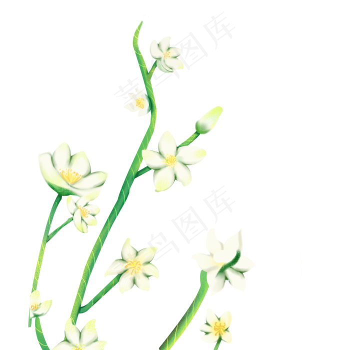 卡通白色鲜花下载