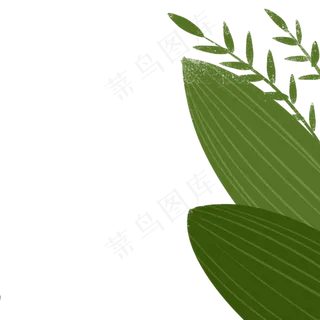 叶子春季自然植物