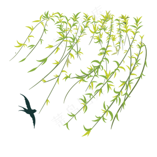 卡通手绘绿色杨柳,免抠元素