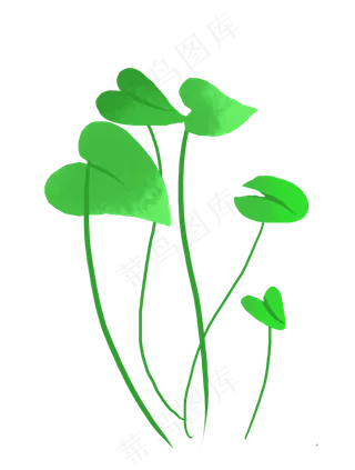 绿植花卉小满植物