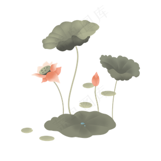 可爱流水荷花荷叶莲花,免抠元素