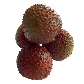 夏季新鲜水果荔枝