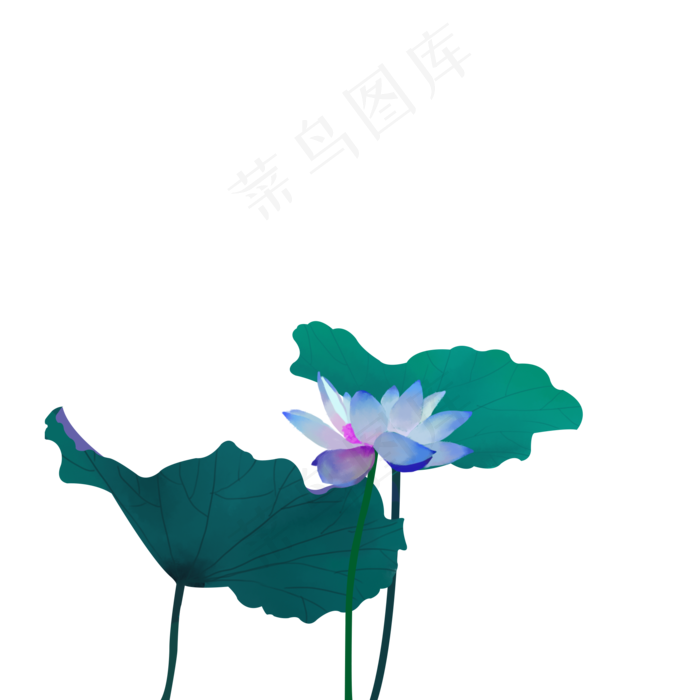 荷花插画免费素材下载