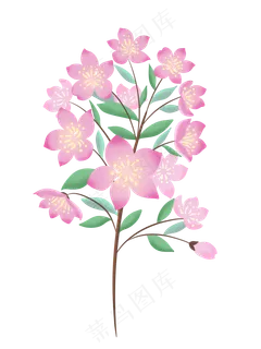 紫色春天花枝插画