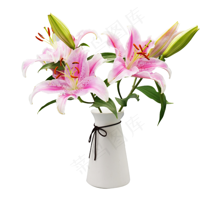 粉色百合花花瓶,免抠元素